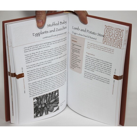 Signed NILE STYLE: Egyptian Cuisine and Culture By Amy Riolo - HC/DJ Cookbook - Picture 11 of 12